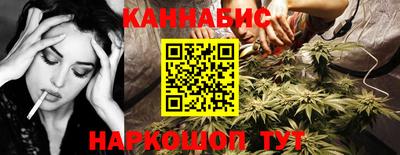 сатива Малгобек