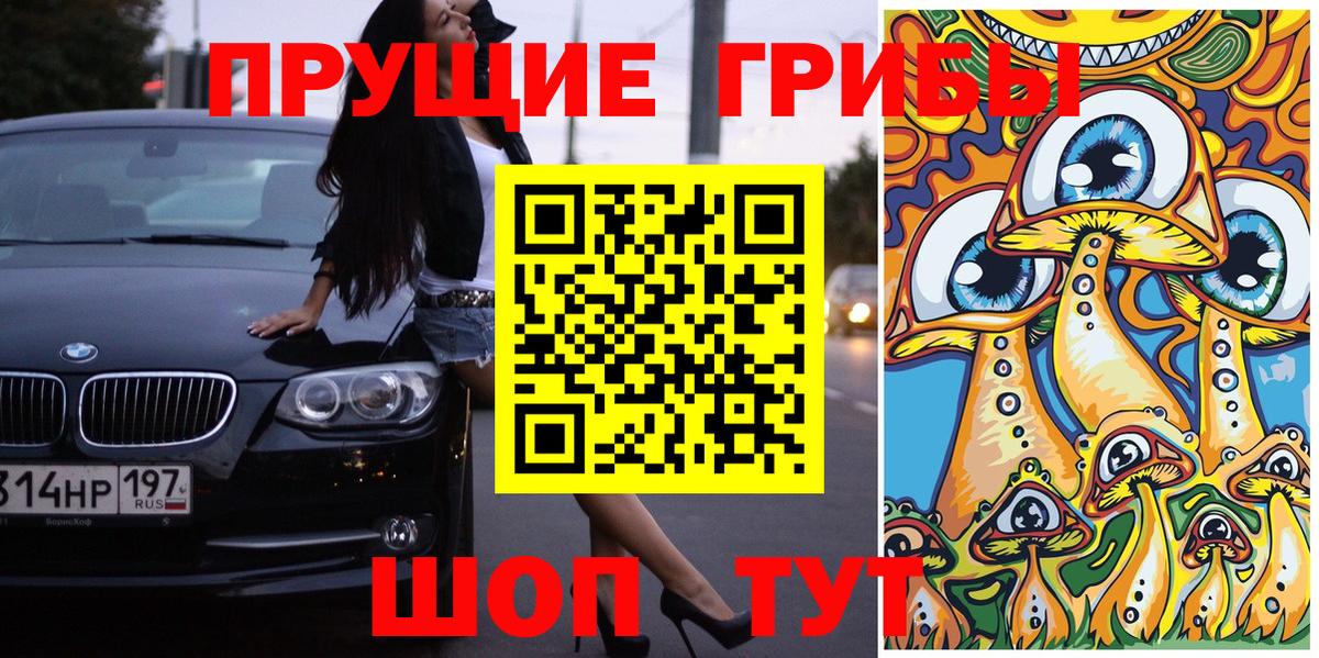 Советск  Галлюциногенные грибы мицелий  Вход с VPN 