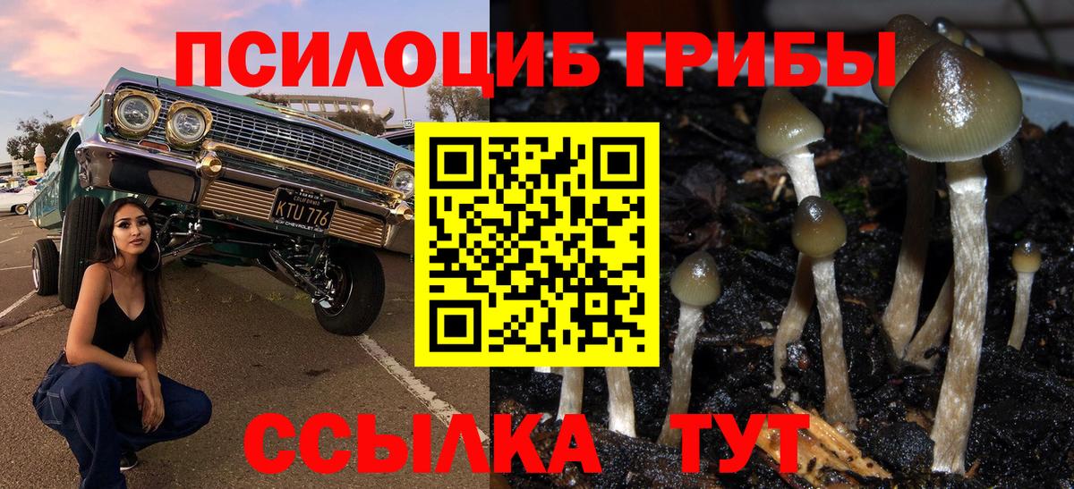 Галлюциногенные грибы GOLDEN TEACHER Советск